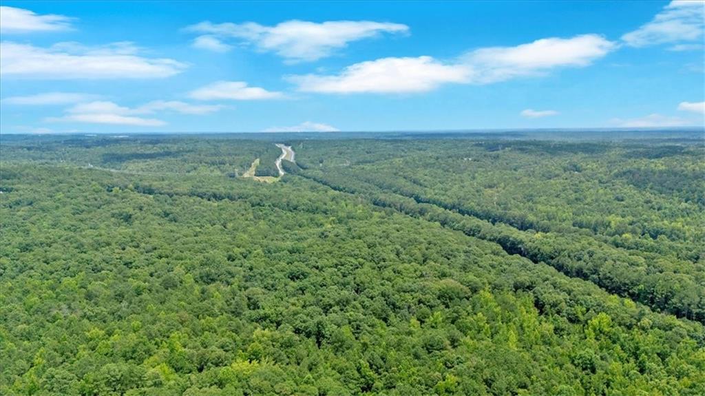0 Timmons Circle Villa Rica, GA 30180 - Photo 7 of 20 a view of a green field with lots of bushes