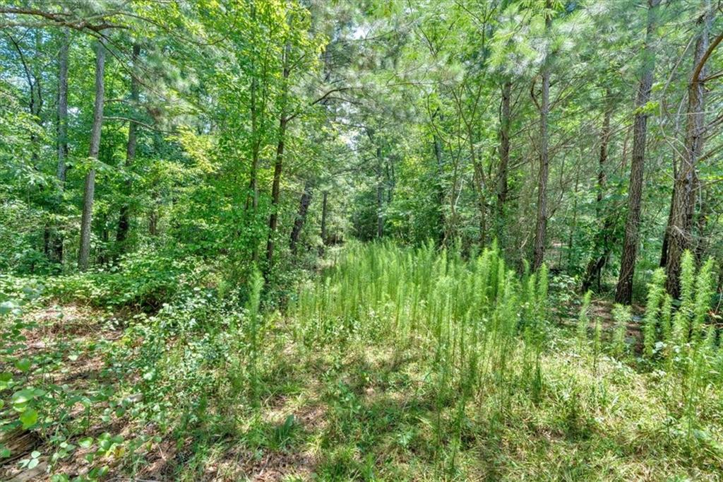 0 Timmons Circle Villa Rica, GA 30180 - Photo 10 of 20 a view of a lush green forest
