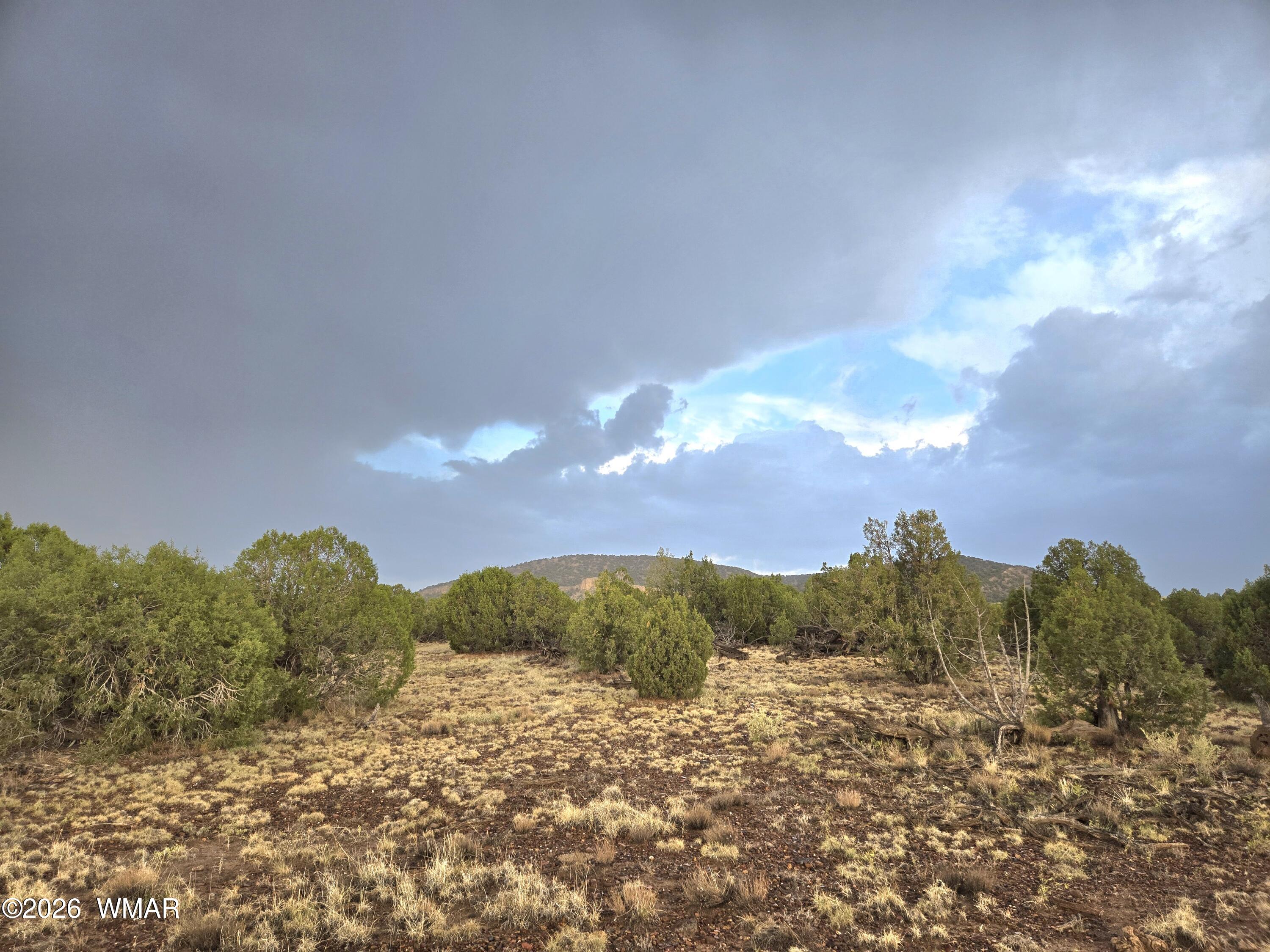 Lot 9 Pinon Valley Ranch Concho, AZ 85924 - Photo 1 of 12 a view of a sky