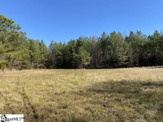 0 Tinsley Road Jonesville, SC 29353 - Photo 2 of 35 Gallery Image 2