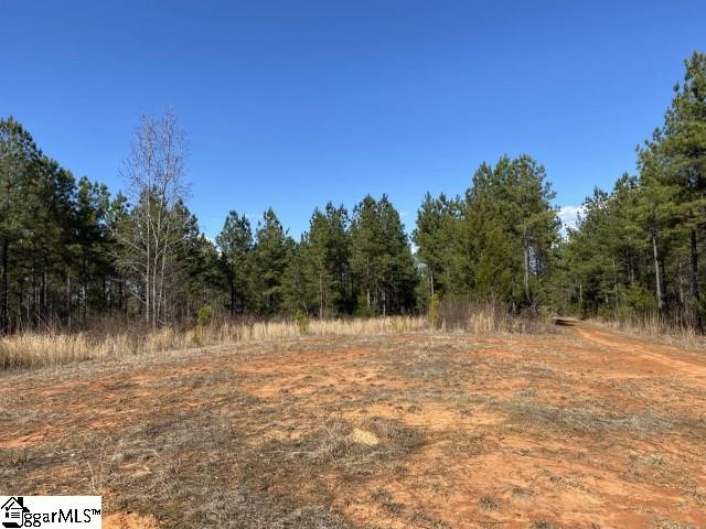 0 Tinsley Road Jonesville, SC 29353 - Photo 11 of 35 Gallery Image 11