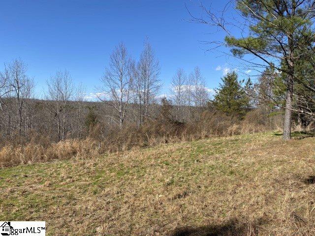 0 Tinsley Road Jonesville, SC 29353 - Photo 12 of 35 Gallery Image 12