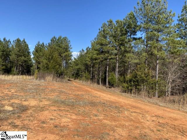 0 Tinsley Road Jonesville, SC 29353 - Photo 14 of 35 Gallery Image 14