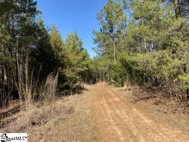 0 Tinsley Road Jonesville, SC 29353 - Photo 15 of 35 Gallery Image 15