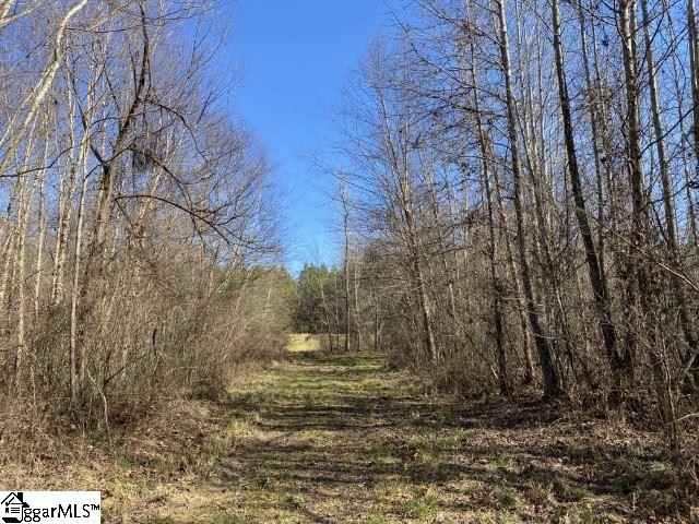 0 Tinsley Road Jonesville, SC 29353 - Photo 16 of 35 Gallery Image 16