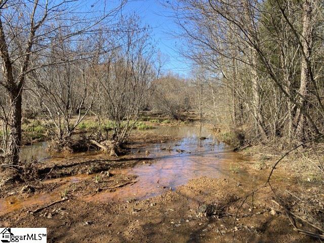 0 Tinsley Road Jonesville, SC 29353 - Photo 18 of 35 Gallery Image 18