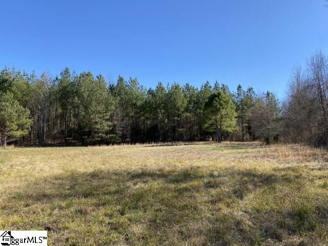 0 Tinsley Road Jonesville, SC 29353 - Photo 19 of 35 Gallery Image 19