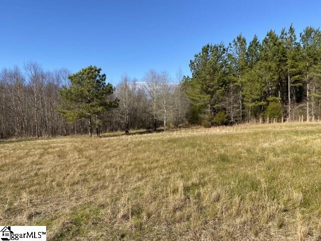 0 Tinsley Road Jonesville, SC 29353 - Photo 20 of 35 Gallery Image 20