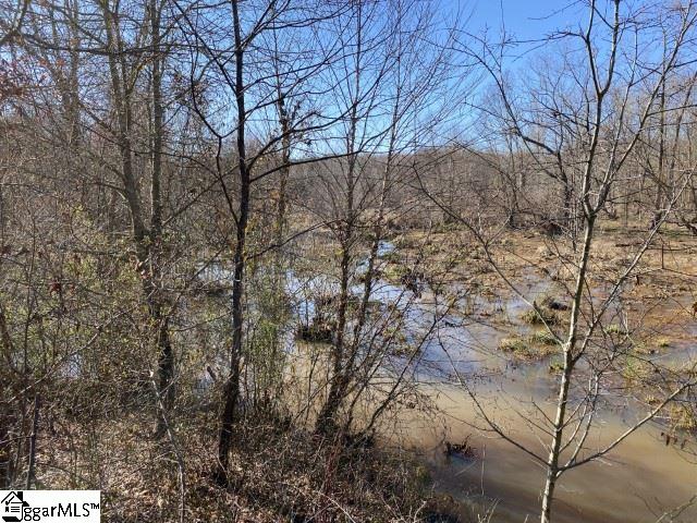 0 Tinsley Road Jonesville, SC 29353 - Photo 3 of 35 Gallery Image 3