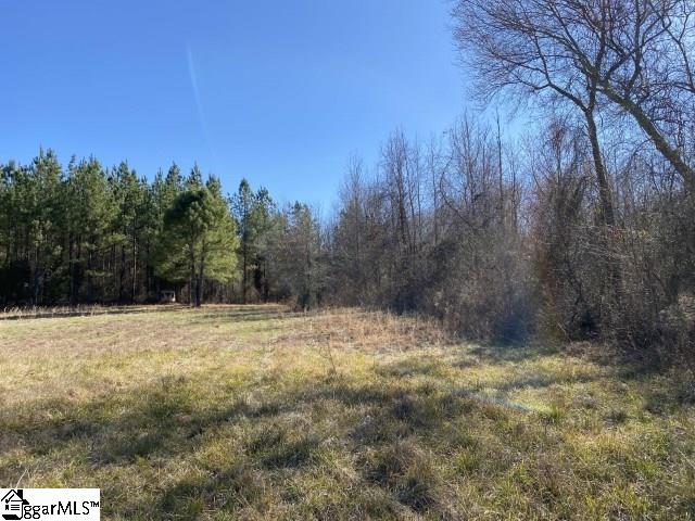 0 Tinsley Road Jonesville, SC 29353 - Photo 21 of 35 Gallery Image 21