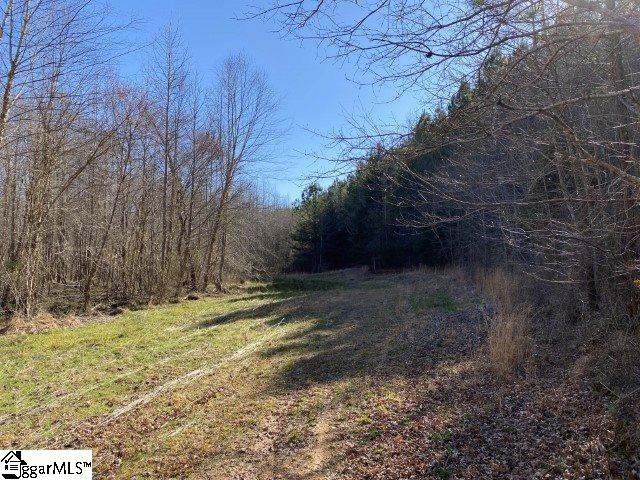0 Tinsley Road Jonesville, SC 29353 - Photo 22 of 35 Gallery Image 22