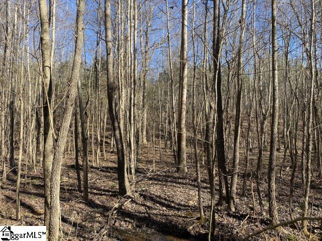 0 Tinsley Road Jonesville, SC 29353 - Photo 23 of 35 Gallery Image 23