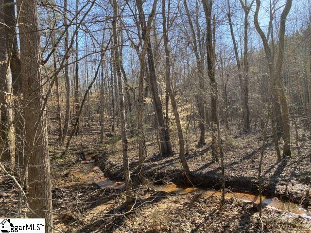 0 Tinsley Road Jonesville, SC 29353 - Photo 24 of 35 Gallery Image 24