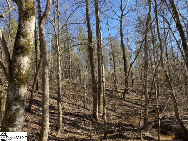 0 Tinsley Road Jonesville, SC 29353 - Photo 25 of 35 Gallery Image 25