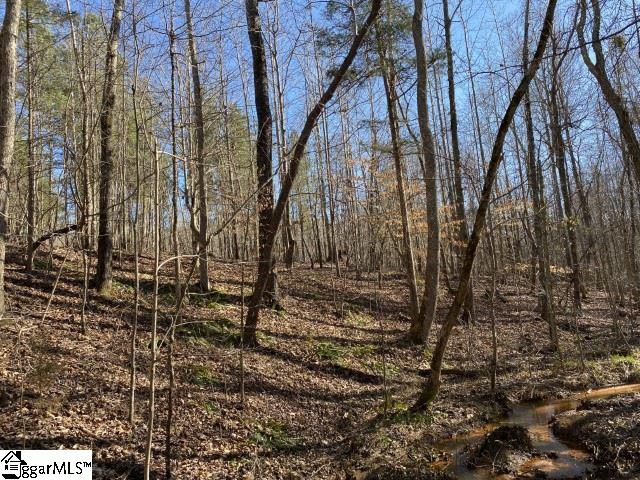0 Tinsley Road Jonesville, SC 29353 - Photo 27 of 35 Gallery Image 27