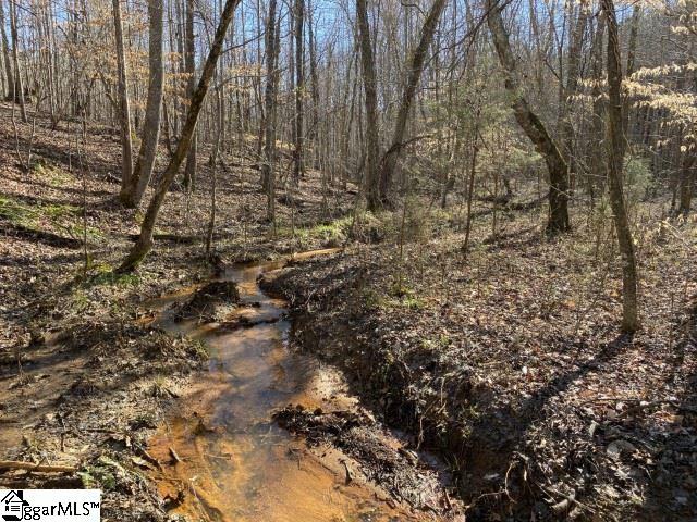 0 Tinsley Road Jonesville, SC 29353 - Photo 28 of 35 Gallery Image 28