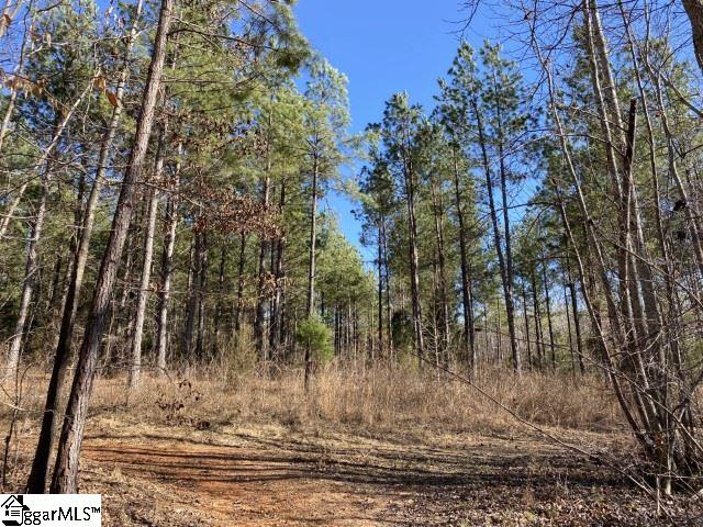 0 Tinsley Road Jonesville, SC 29353 - Photo 30 of 35 Gallery Image 30