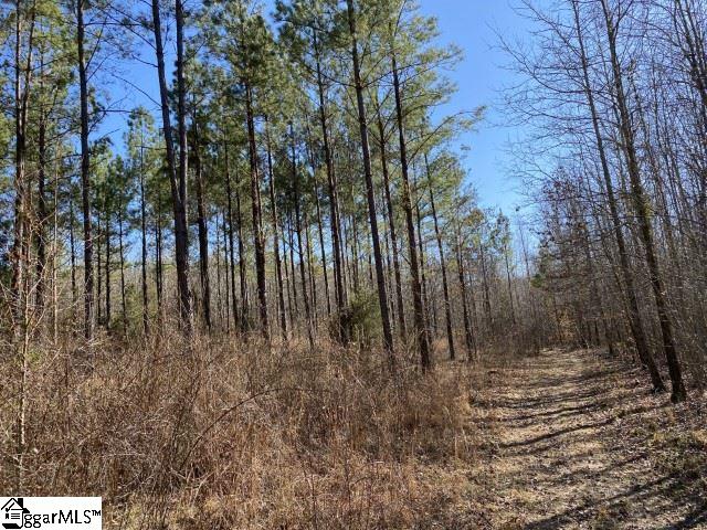 0 Tinsley Road Jonesville, SC 29353 - Photo 31 of 35 Gallery Image 31