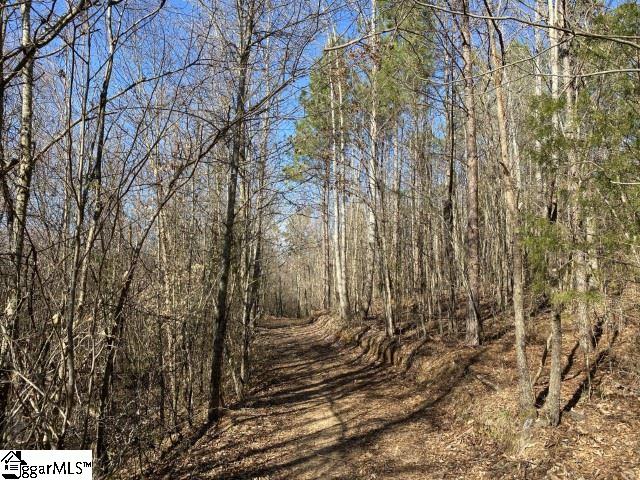 0 Tinsley Road Jonesville, SC 29353 - Photo 32 of 35 Gallery Image 32
