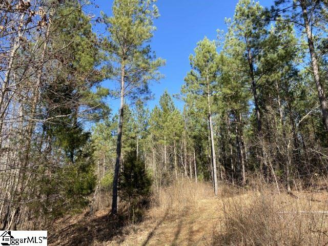0 Tinsley Road Jonesville, SC 29353 - Photo 35 of 35 Gallery Image 35