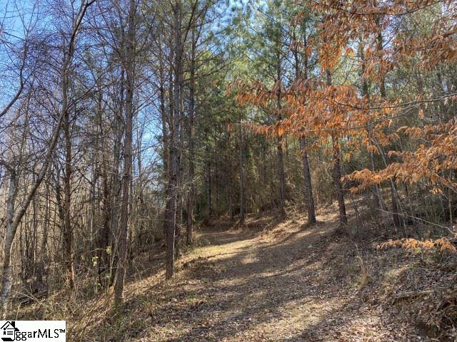 0 Tinsley Road Jonesville, SC 29353 - Photo 8 of 35 Gallery Image 8