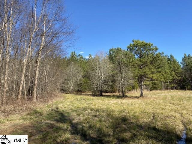 0 Tinsley Road Jonesville, SC 29353 - Photo 10 of 35 Gallery Image 10