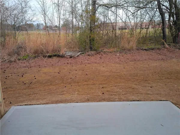 a view of a backyard