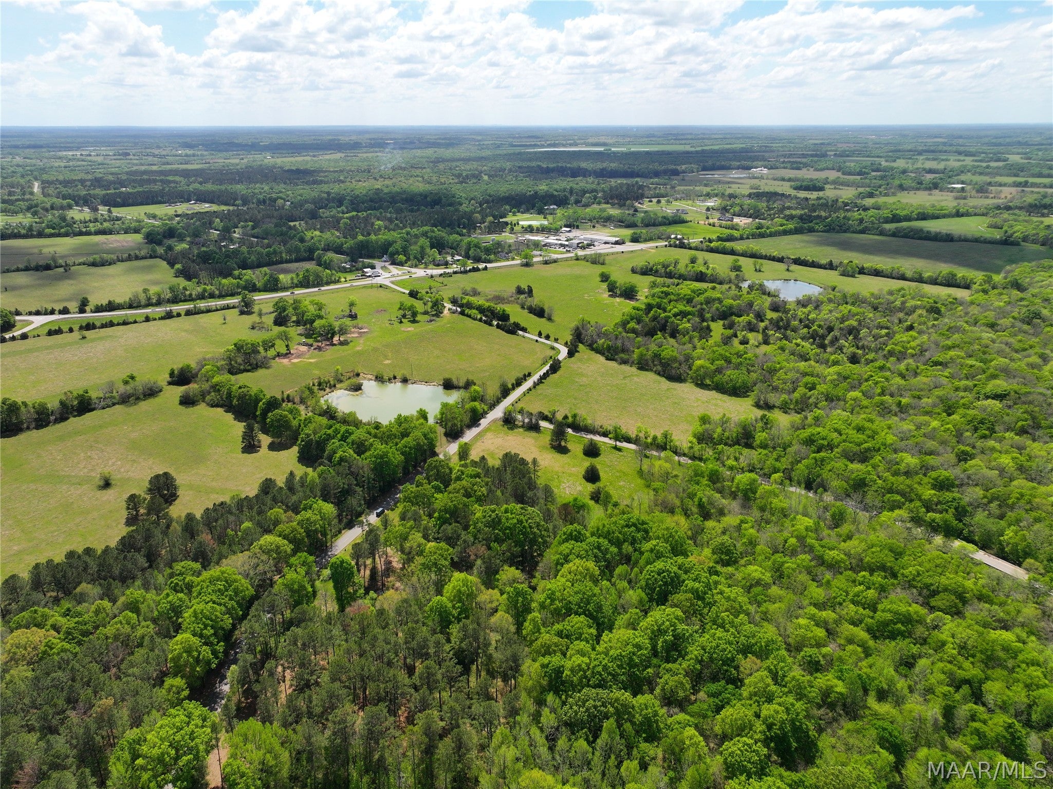 0 Judkins Road Pike Road, AL 36064 - Photo 4 of 21 Gallery Image 4