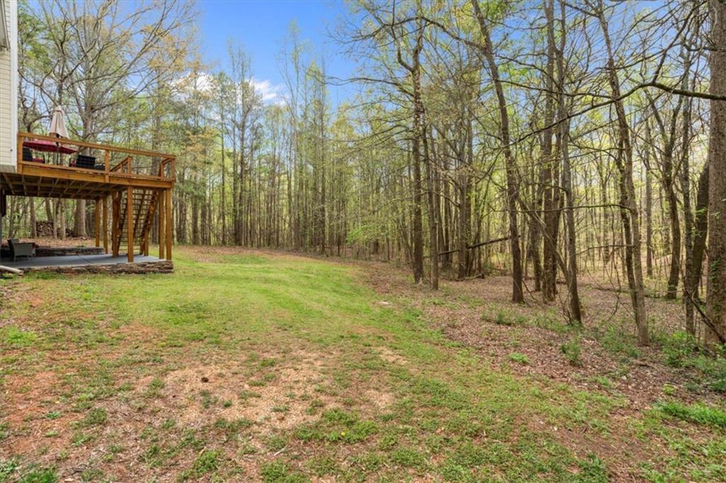 301 Highway 5 Roopville, GA 30170 - Photo 53 of 67 Gallery Image 53