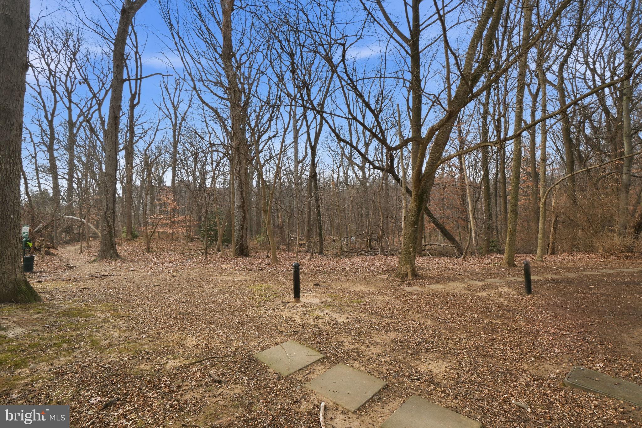 3430 39th Street Northwest, Unit 700 Washington, DC 20016 - Photo 17 of 22 The unit overlooks Glover Archbold Park