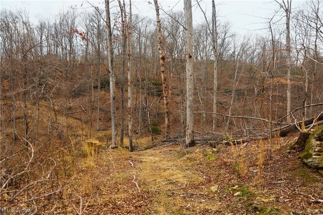 Brimstone Road Coolville, OH 45723 - Photo 17 of 29