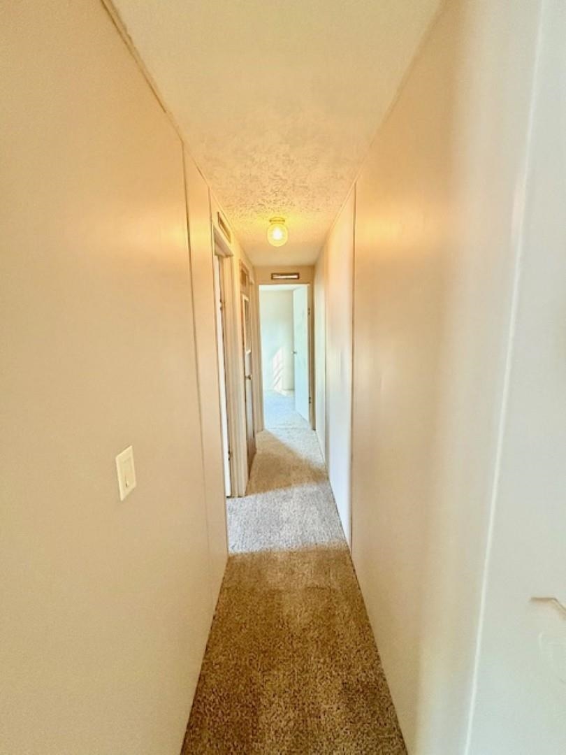 4106 Kim Circle Conway, SC 29526 - Photo 14 of 27