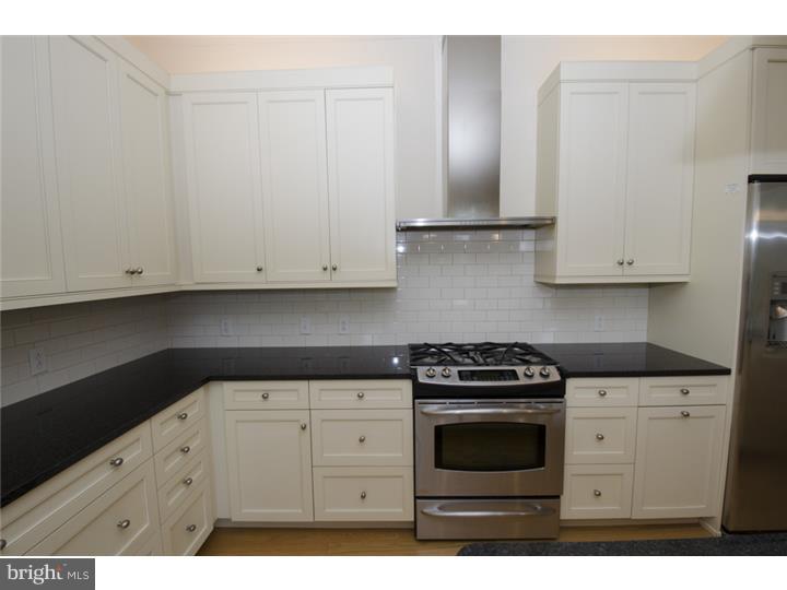 313 Iron Works Way, Unit C Wayne, PA 19087 - Photo 3 of 20 Kitchen