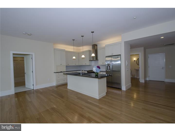 313 Iron Works Way, Unit C Wayne, PA 19087 - Photo 4 of 20 Kitchen