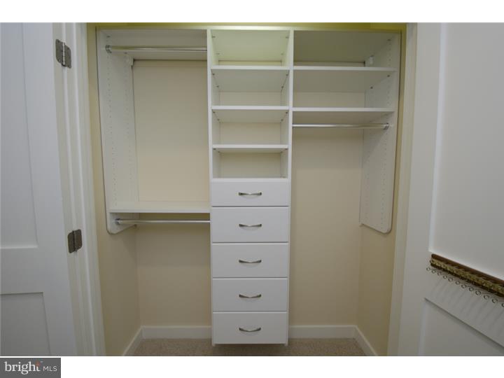 313 Iron Works Way, Unit C Wayne, PA 19087 - Photo 9 of 20 Closet
