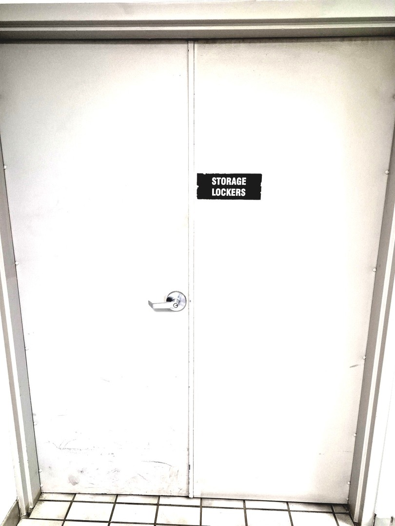 247 East Chestnut Street, Unit 1204 Chicago, IL 60611 - Photo 15 of 16 a picture of a window