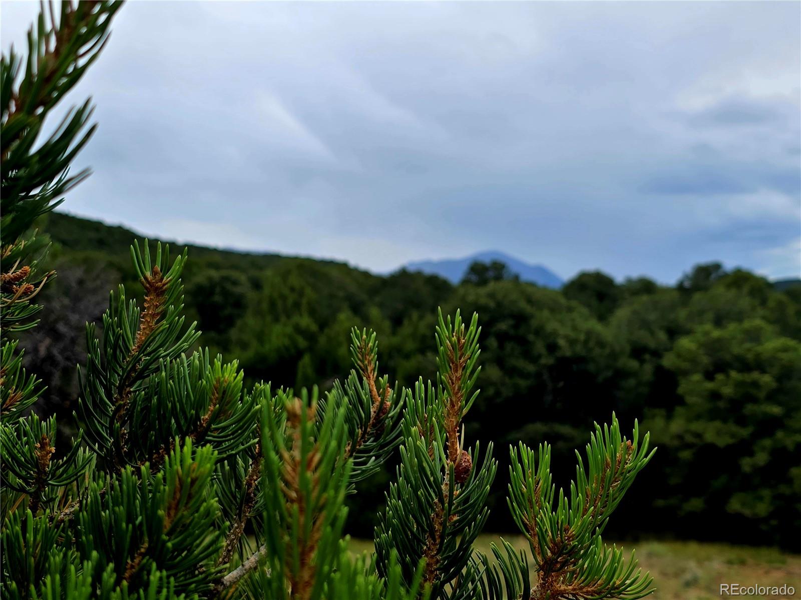 Lot 97-phase Lot 97-phase Ranch Walsenburg, CO 81089 - Photo 13 of 20 a view of a garden