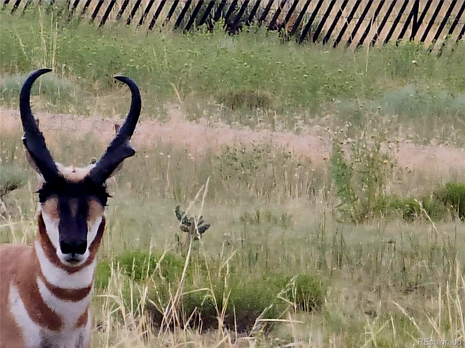 Lot 97-phase Lot 97-phase Ranch Walsenburg, CO 81089 - Photo 3 of 20 a bathroom with a sink and a mirror