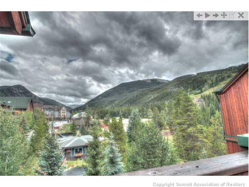 70 River Run Road, Unit 202 Keystone, CO 80435 - Photo 6 of 19 a view of outdoor space and garden