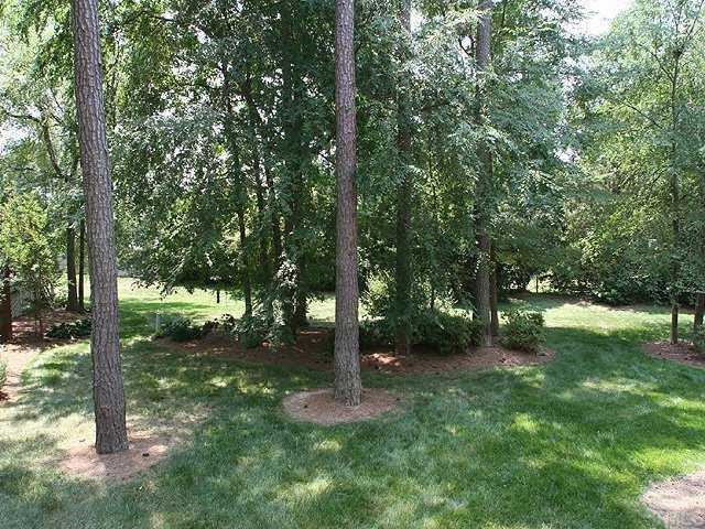 504 Crabbery Lane Raleigh, NC 27609 - Photo 8 of 8 Wood backyard, private
