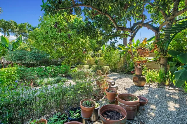 a view of a backyard with plants and a patio
