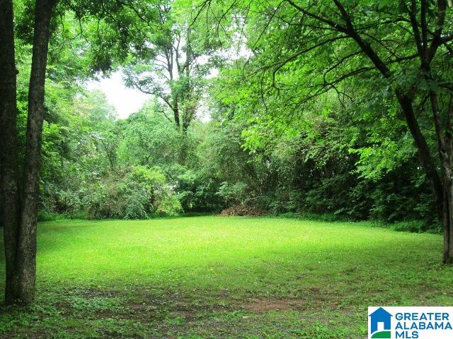 6928 Highway 11 Springville, AL 35146 - Photo 28 of 34