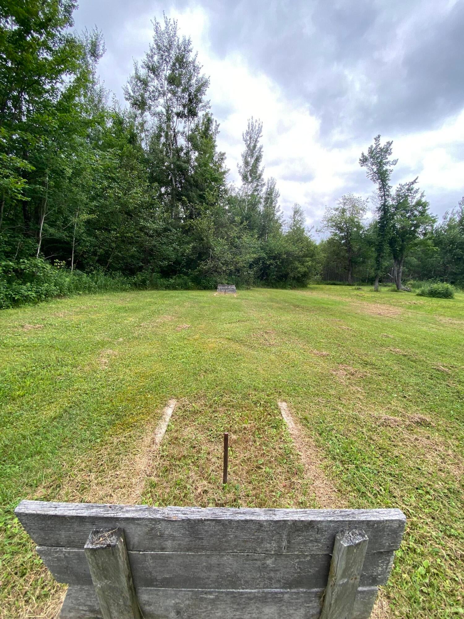 0 West 23 Mile Road Pickford, MI 49774 - Photo 11 of 28 Gallery Image 11