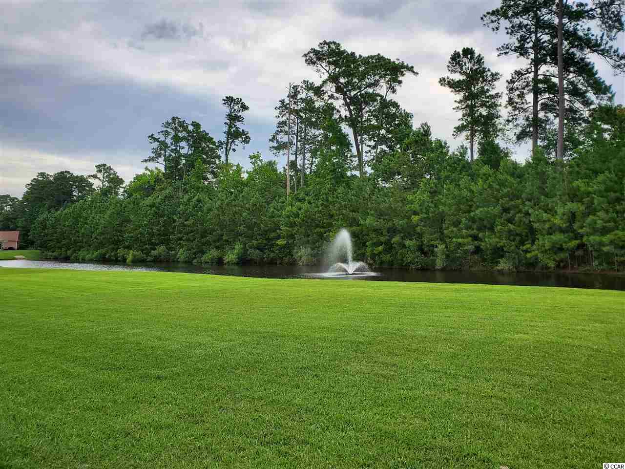 480 Grand Cypress Way Murrells Inlet, SC 29576 - Photo 33 of 40 Gallery Image 33