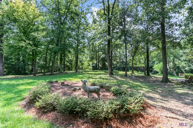 $599,000 | 14026 Dogwood Trace, St. Francisville, LA 70775