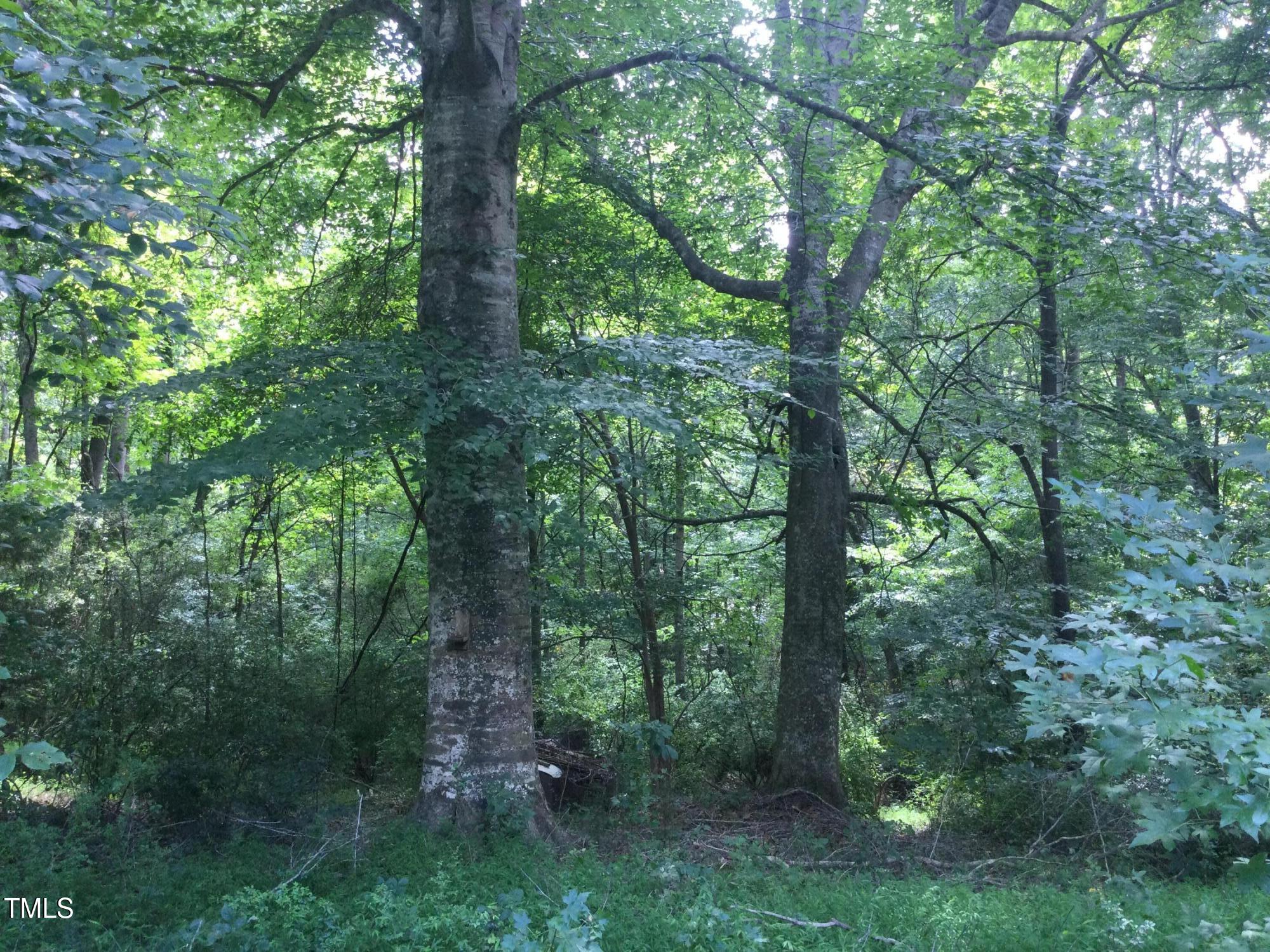 3283 South Jim Minor Road Haw River, NC 27258 - Photo 12 of 16 IMG_1424