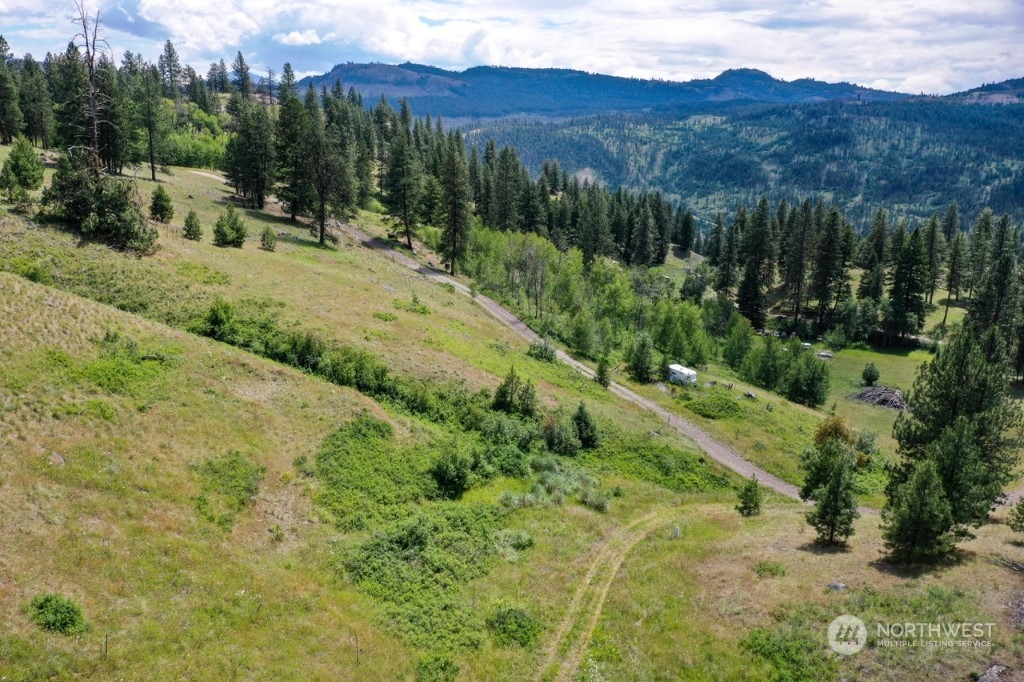 0 Spiering Road Curlew, WA 99118 - Photo 6 of 7 Gallery Image 6