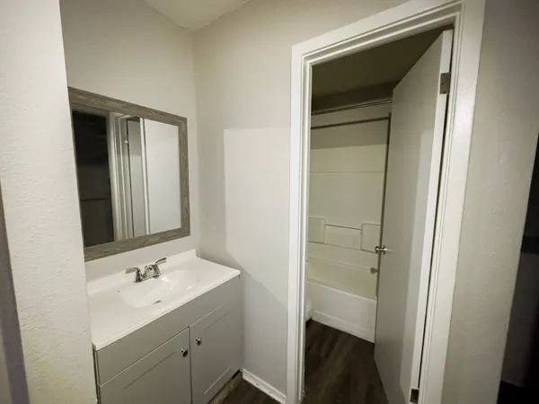 a bathroom with a sink and a mirror