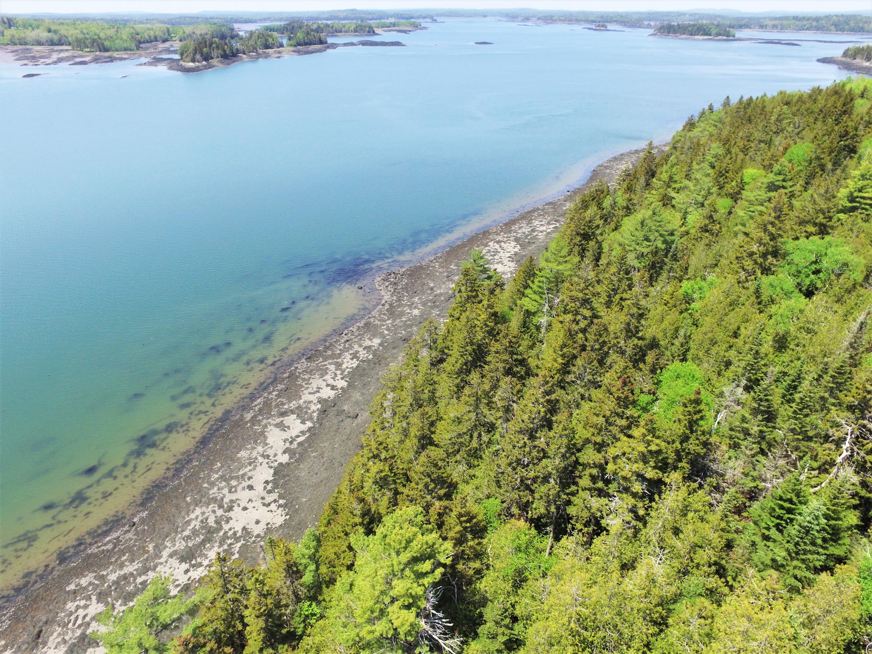 9.2 Raft Cove Road Lubec, ME 04652 - Photo 1 of 10 HOCTOR SHORELINE 2