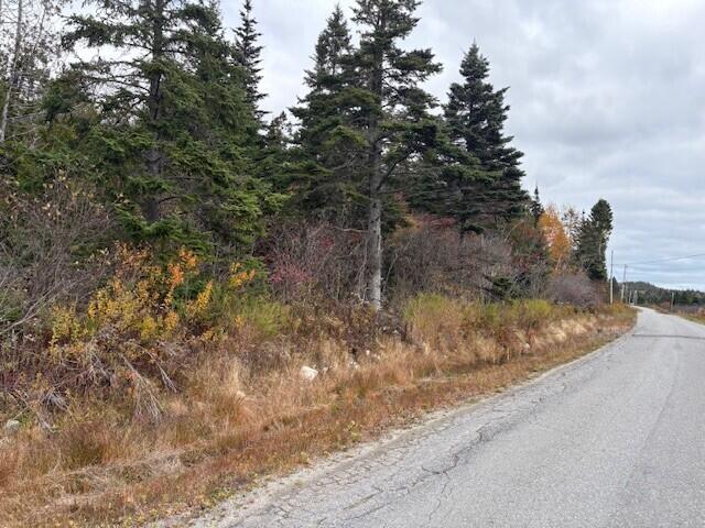 0 Boot Cove Road Lubec, ME 04652 - Photo 2 of 9